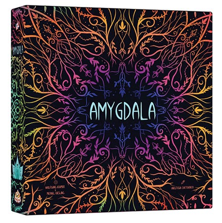 Amygdala - DE