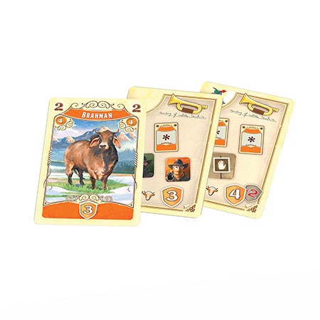 GREAT WESTERN TRAIL: Rails to the North - DE